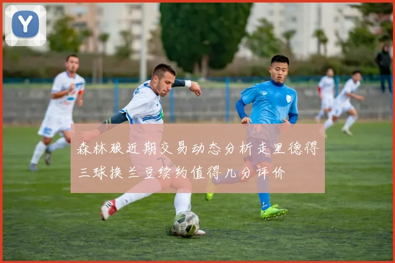 森林狼近期交易动态分析走里德得三球换兰豆续约值得几分评价